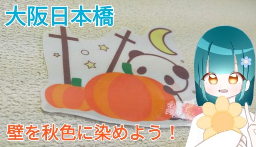 🌰秋の飾りつけ🍂大阪日本橋VOL38
