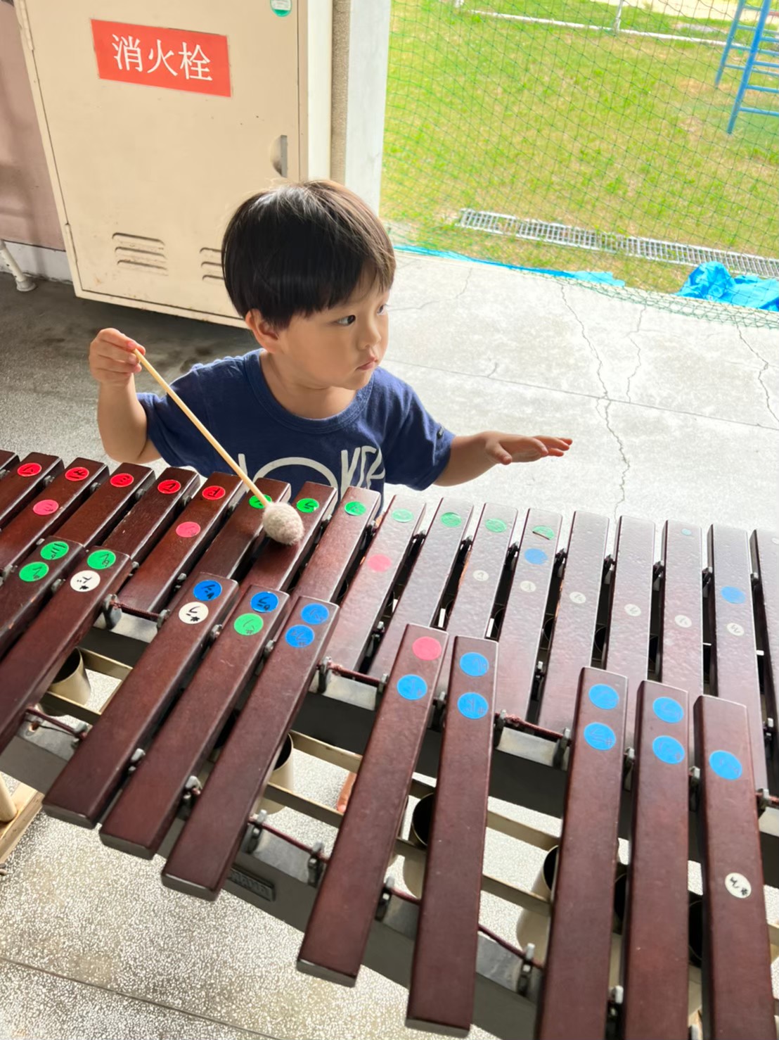 大阪市の無料お出かけスポットじゃがピーパークで木琴を弾く未就学児