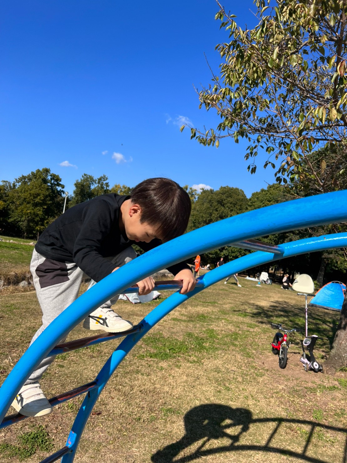 久宝寺緑地公園の雲梯に登って遊ぶ小学生の男の子