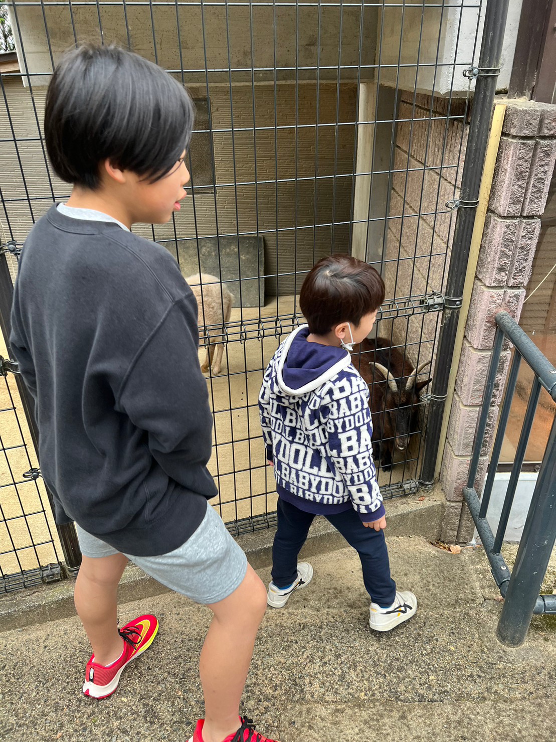 無料の動物園五月山動物園に行った子供
