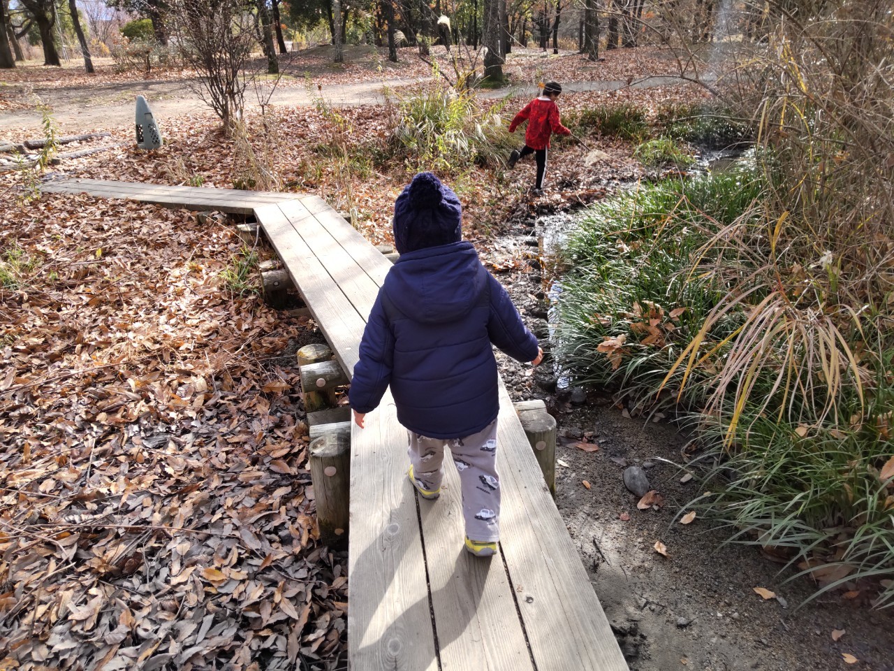 花博記念公園鶴見緑地で遊ぶ児童発達支援と放課後等デイサービスの子供たち