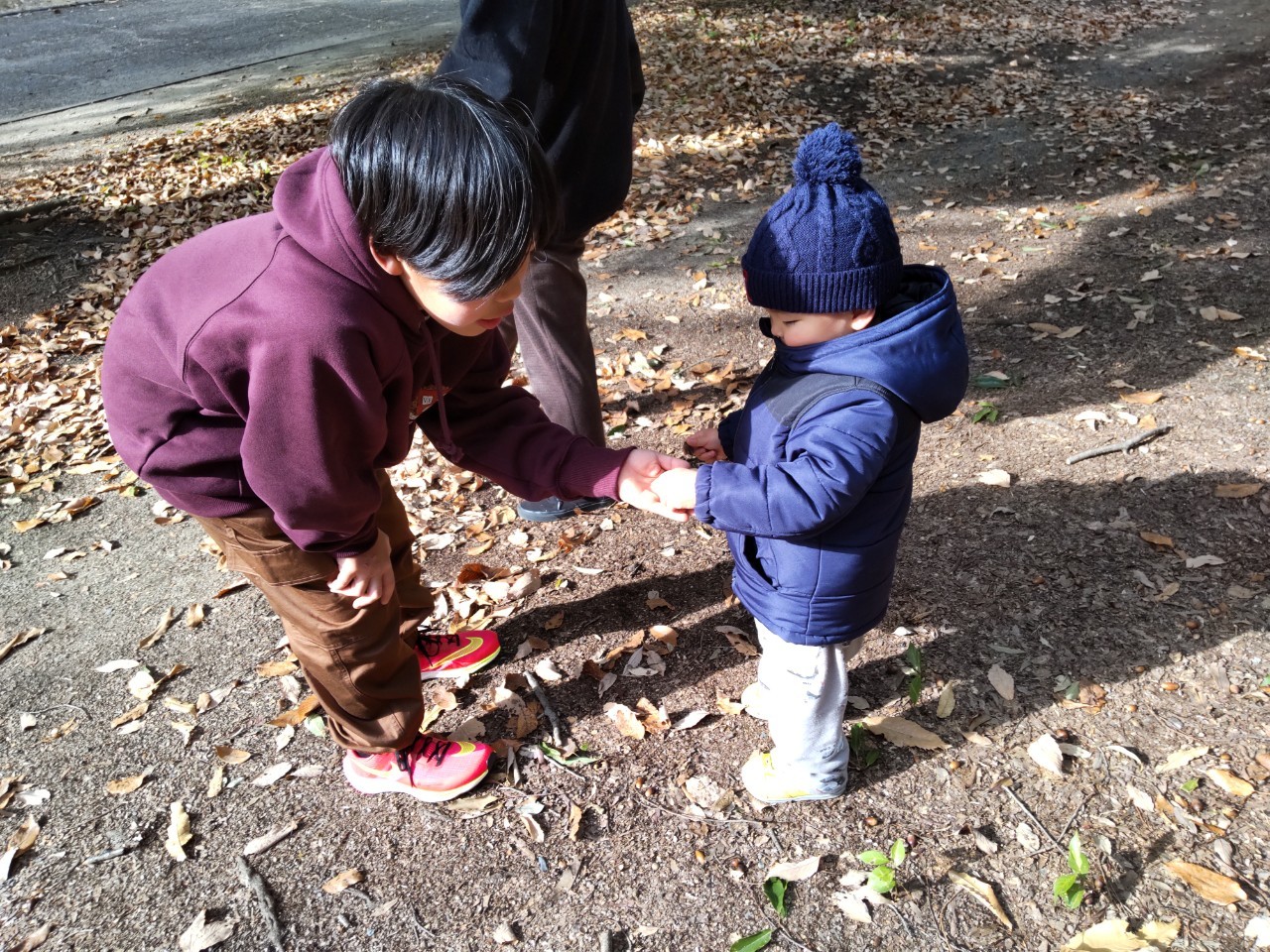花博記念公園鶴見緑地で散歩する児童発達支援と放課後等デイサービスの子供たち
