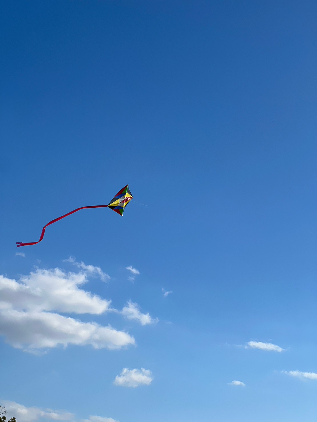 西成公園での凧揚げ遊び風景