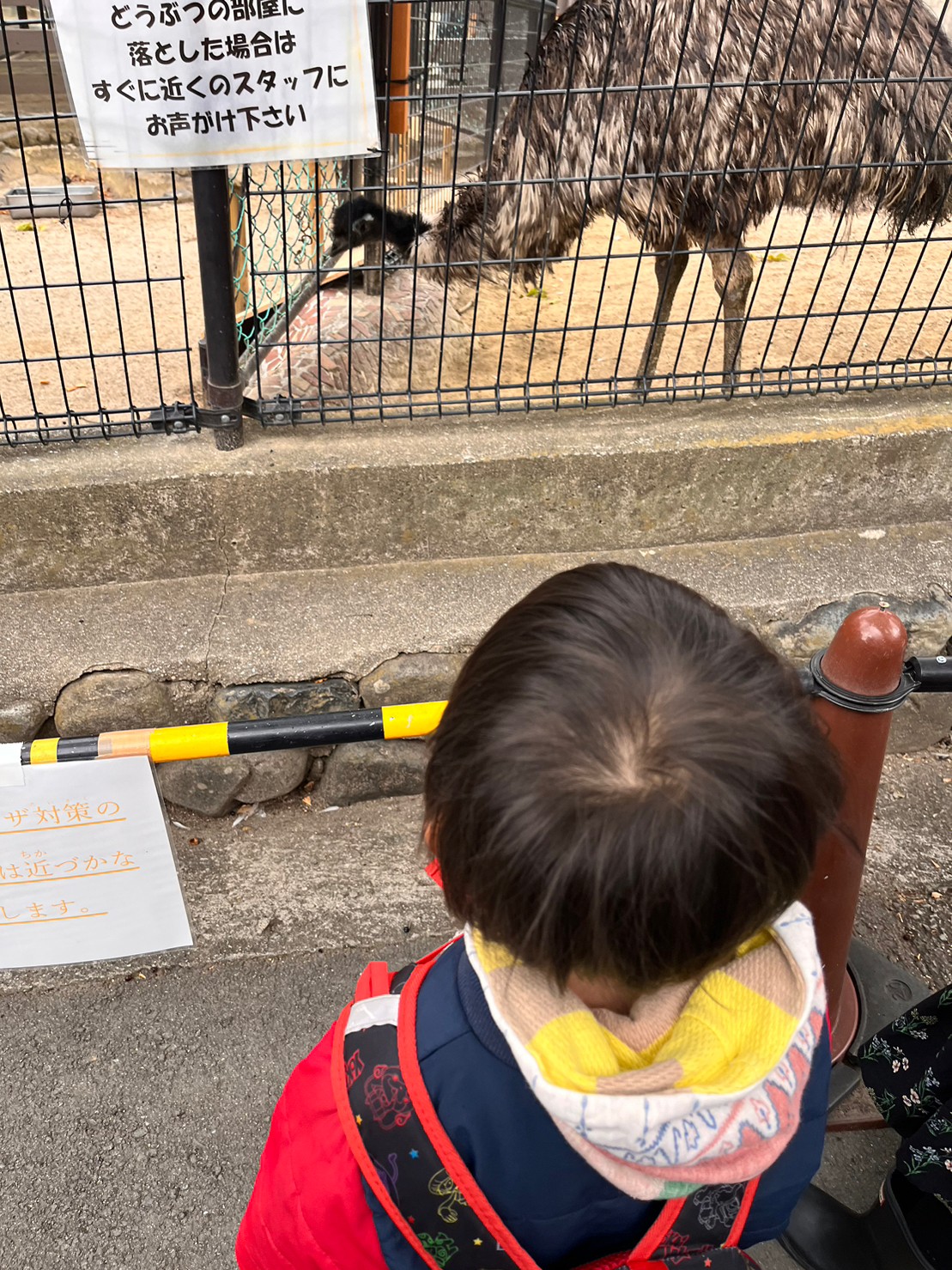 児童発達支援オハナピース花園町で行った五月山動物園の紹介