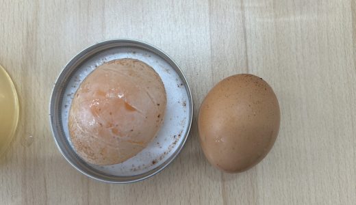 【狭山vol.165】【科学実験】スケルトンタマゴ🥚を作ろう！【オハスタ】