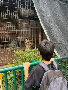 【入間vol.135】外出イベント❣️羽村動物園におでかけ🦒🐒🦆🐿️