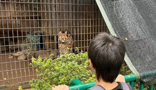 【入間vol.135】外出イベント❣️羽村動物園におでかけ🦒🐒🦆🐿️