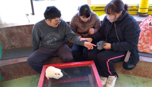 久しぶり！の動物園🙈🙉🙊(新所沢No.204)